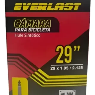 CAMARA 29 X 1.95/2.125 EVERLAST V.F 48MM REMOVIBLE BUTYL RBM